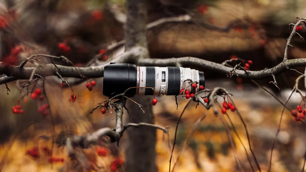 Camera in het bos